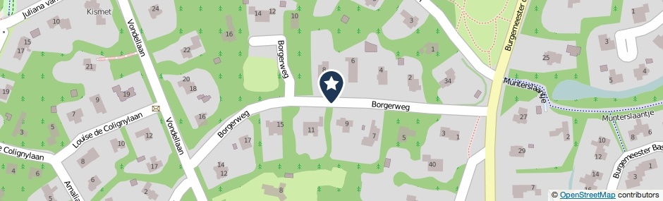 Kaartweergave Borgerweg in Aerdenhout