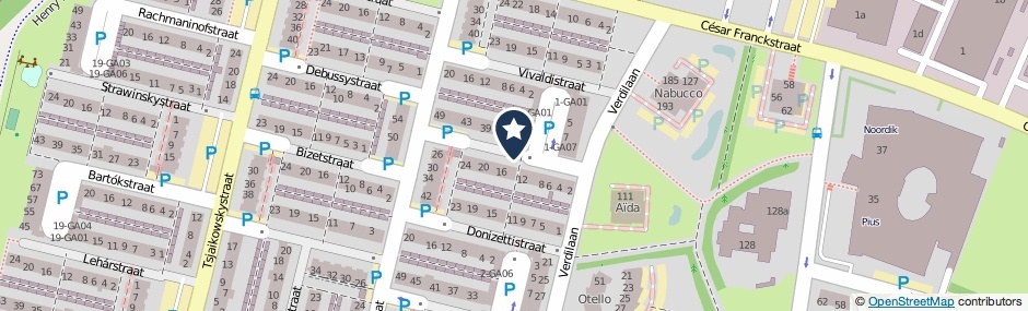 Kaartweergave Rossinistraat in Almelo