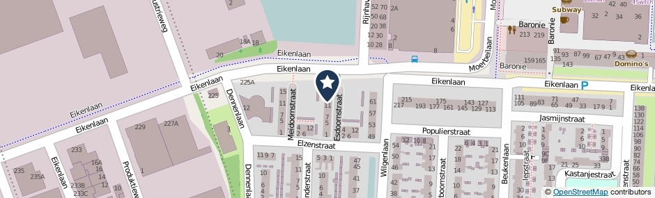 Kaartweergave Esdoornstraat 13 in Alphen Aan Den Rijn