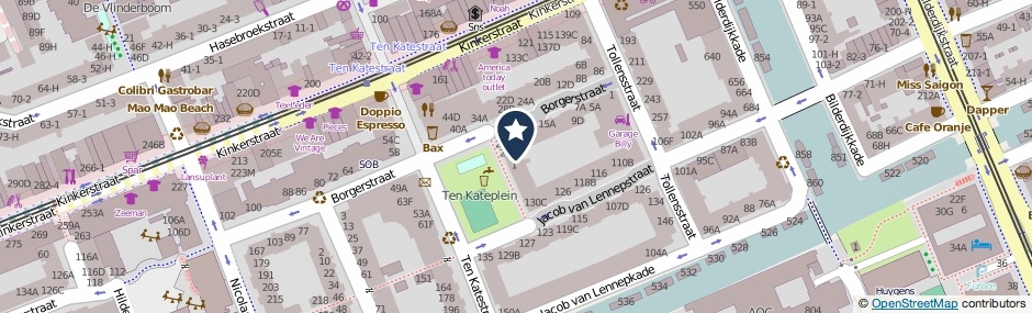 Kaartweergave Borgerstraat 29-E in Amsterdam