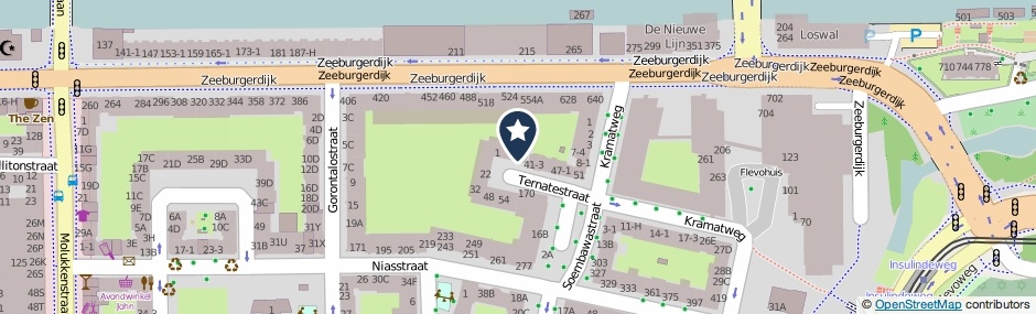 Kaartweergave Ternatestraat 27 in Amsterdam