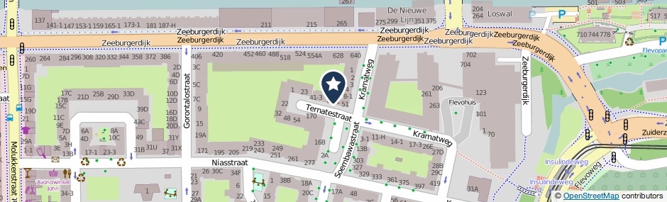 Kaartweergave Ternatestraat 47-1 in Amsterdam