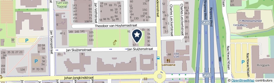 Kaartweergave Theodoor Van Hoytemastraat 11 in Amsterdam