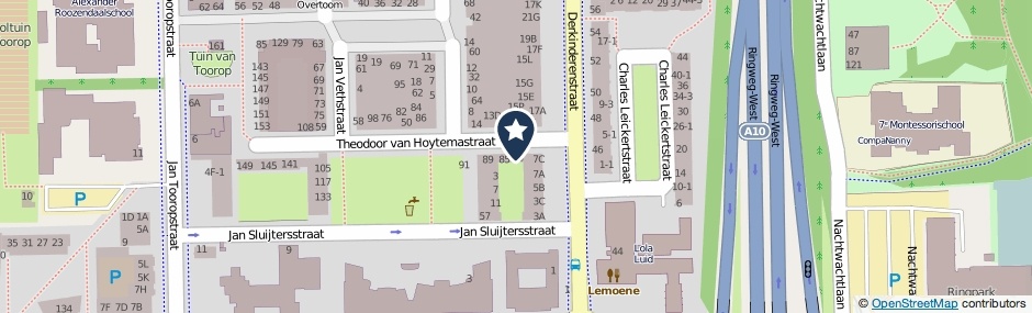 Kaartweergave Theodoor Van Hoytemastraat 21 in Amsterdam