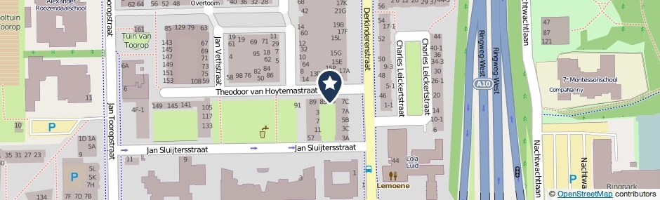 Kaartweergave Theodoor Van Hoytemastraat 29 in Amsterdam