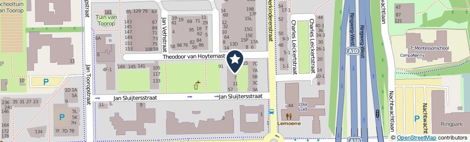 Kaartweergave Theodoor Van Hoytemastraat 3 in Amsterdam