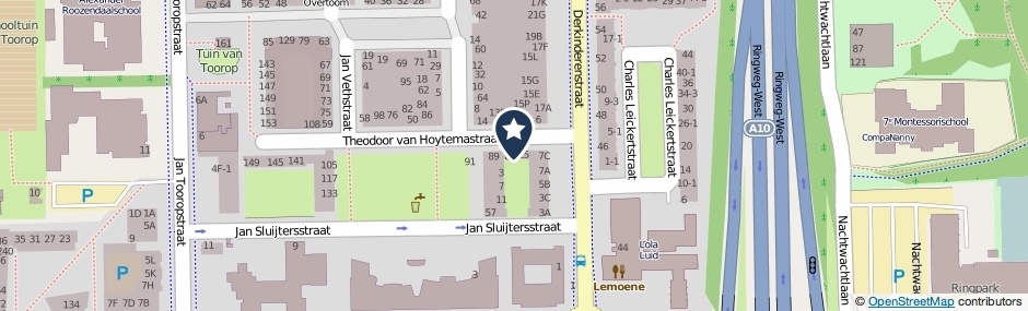 Kaartweergave Theodoor Van Hoytemastraat 61 in Amsterdam