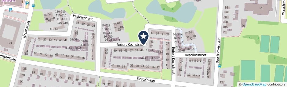 Kaartweergave Robert Kochstraat in Apeldoorn