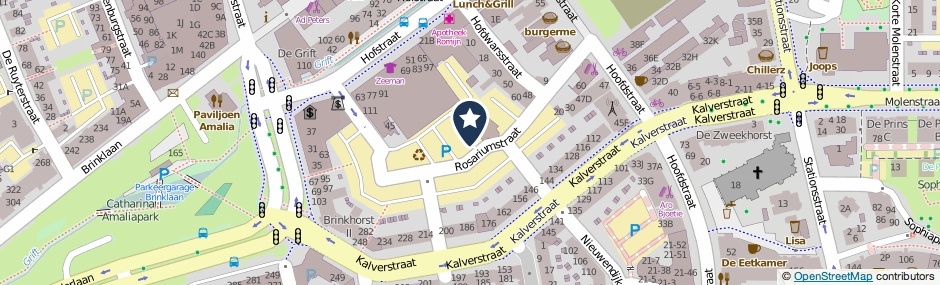 Kaartweergave Rosariumstraat in Apeldoorn