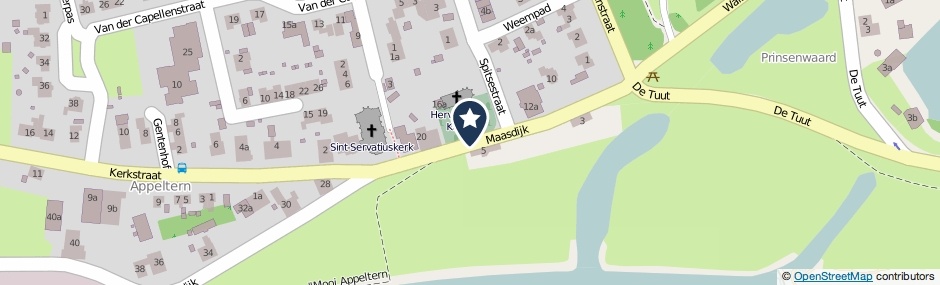 Kaartweergave Maasdijk in Appeltern