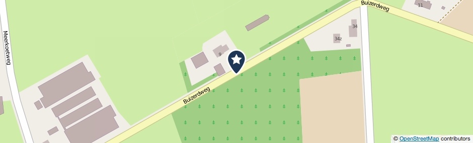 Kaartweergave Buizerdweg in Asten