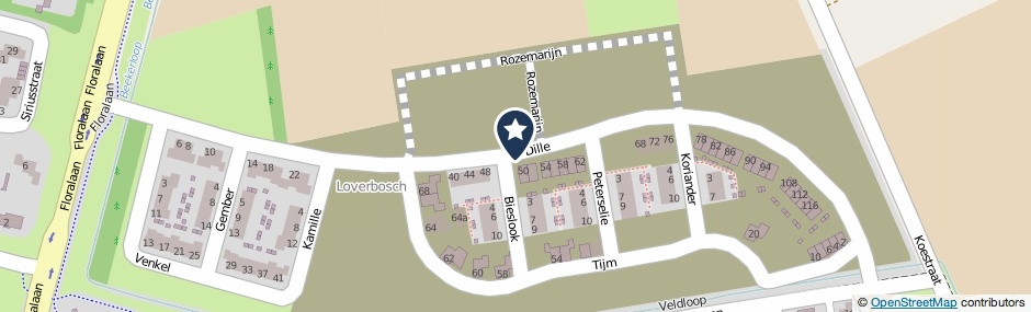Kaartweergave Dille in Asten