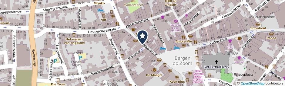 Kaartweergave Fortuinstraat in Bergen Op Zoom