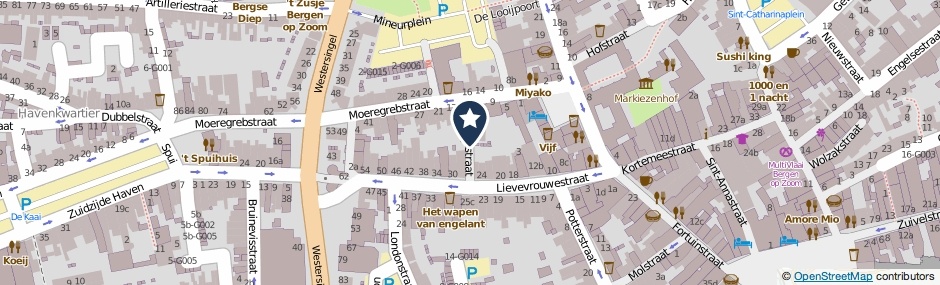 Kaartweergave Morganstraat in Bergen Op Zoom