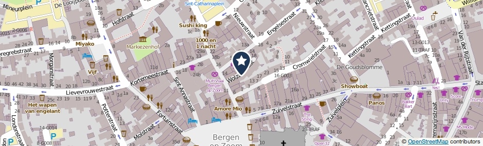 Kaartweergave Wolzakstraat in Bergen Op Zoom
