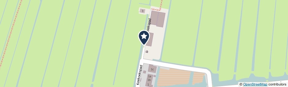 Kaartweergave Koekoekspad in Bleskensgraaf
