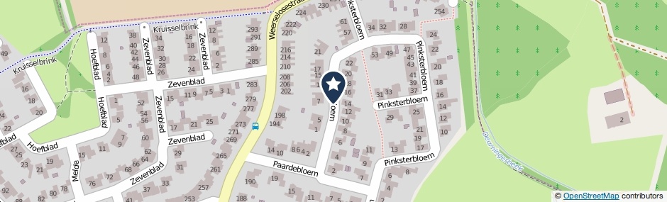 Kaartweergave Boterbloem in Borne