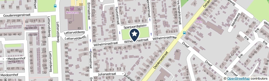 Kaartweergave Wilhelminastraat in Borne