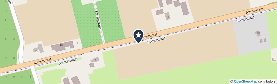 Kaartweergave Bornsestraat in BornerBroek