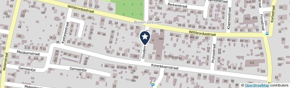 Kaartweergave Goudenregenstraat in Boven-Leeuwen