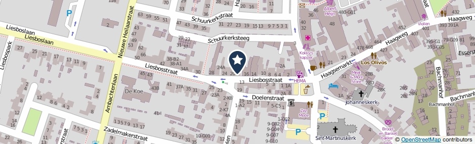 Kaartweergave Liesbosstraat 18-A in Breda