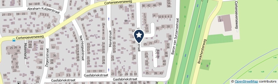 Kaartweergave Leeuwerikstraat in Brummen