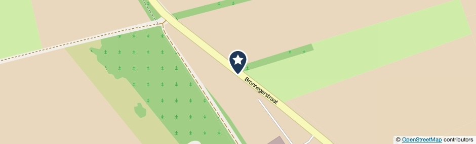 Kaartweergave Bronnegerstraat in Buinen