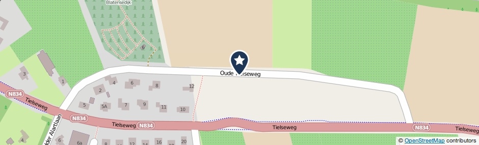 Kaartweergave Oude Tielseweg in Buren (Gelderland)