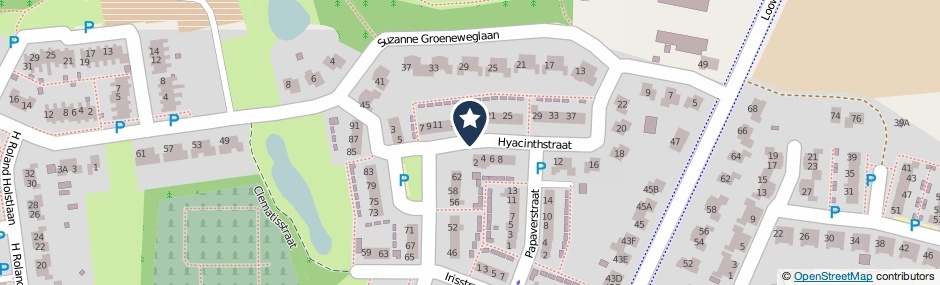 Kaartweergave Hyacinthstraat in Coevorden