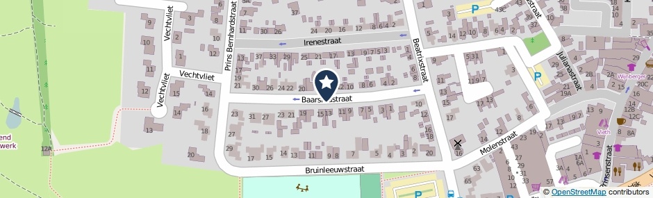 Kaartweergave Baarsmastraat in Dalfsen