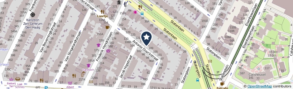 Kaartweergave Antonie Duyckstraat 113 in Den Haag