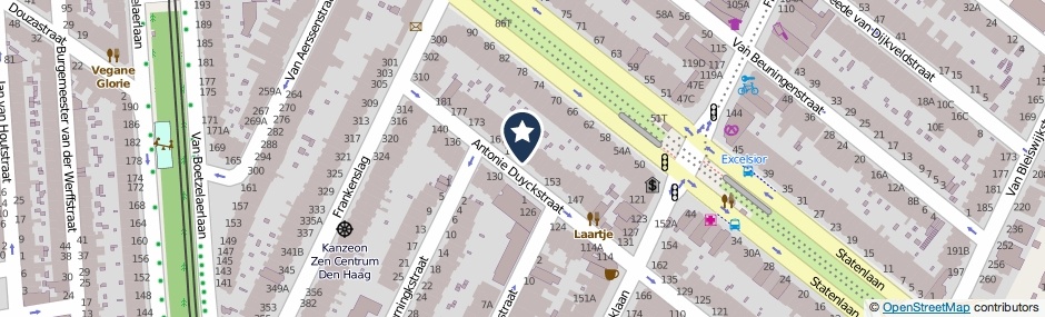 Kaartweergave Antonie Duyckstraat 161 in Den Haag