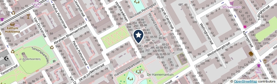 Kaartweergave Hannemanstraat in Den Haag