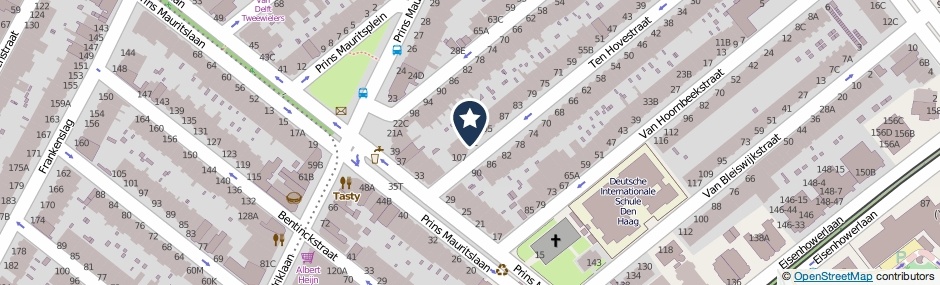 Kaartweergave Ten Hovestraat 103 in Den Haag
