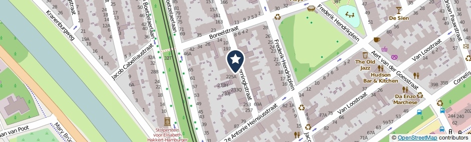 Kaartweergave Van Beverningkstraat 221 in Den Haag