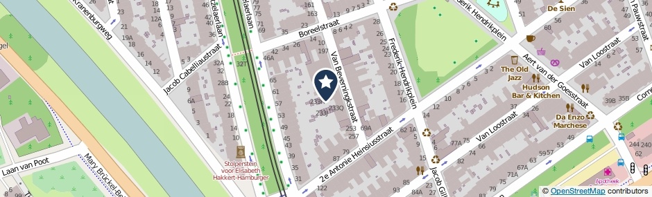 Kaartweergave Van Beverningkstraat 233-D in Den Haag