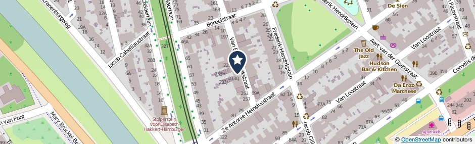 Kaartweergave Van Beverningkstraat 233 in Den Haag