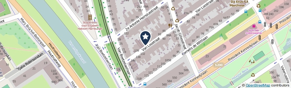 Kaartweergave Van Loostraat 121 in Den Haag