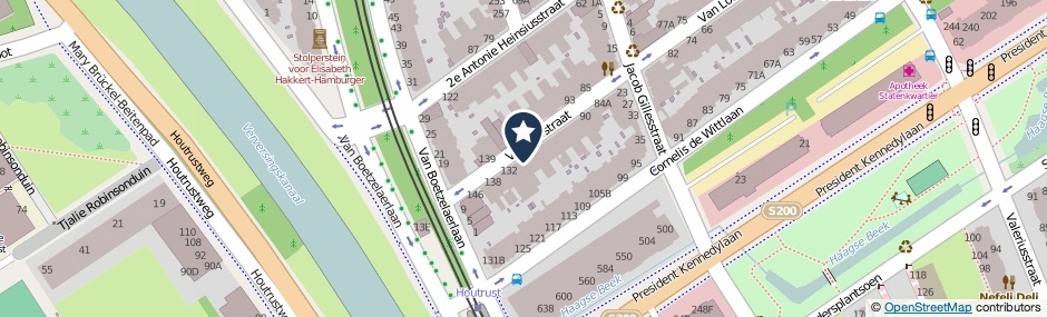 Kaartweergave Van Loostraat 124 in Den Haag
