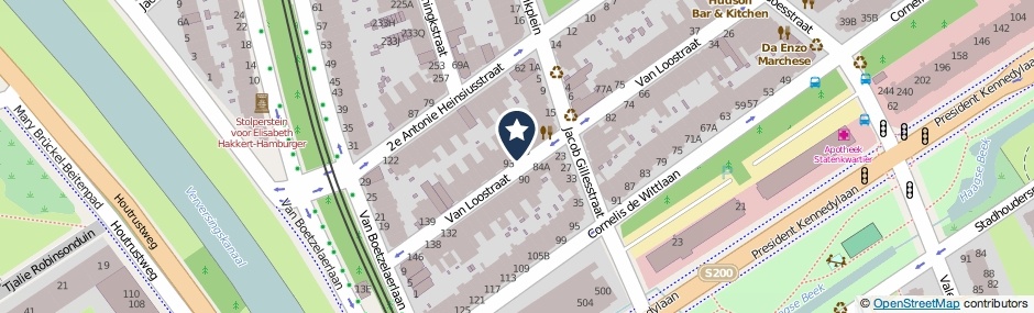 Kaartweergave Van Loostraat 91 in Den Haag