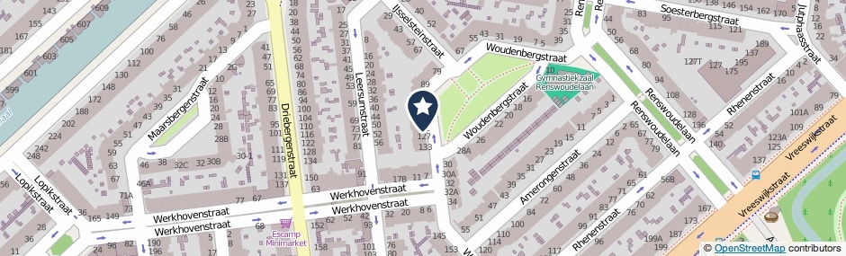 Kaartweergave Woudenbergstraat 117 in Den Haag