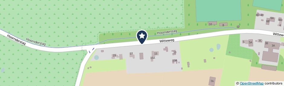 Kaartweergave Witteweg in Den Hoorn (Noord-Holland)