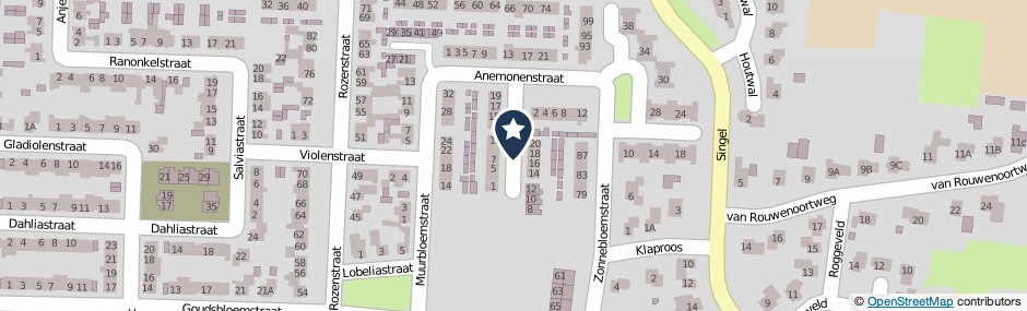 Kaartweergave Irisstraat in Didam