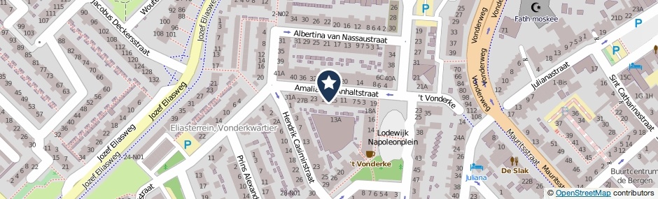 Kaartweergave Amalia Van Anhaltstraat 17 in Eindhoven