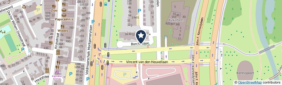 Kaartweergave Borchmolen in Eindhoven