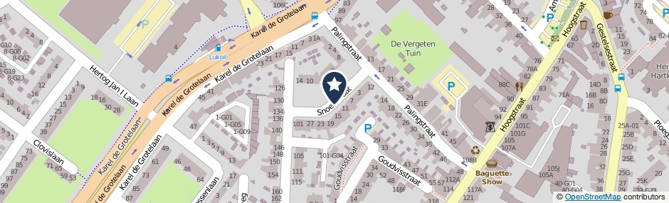 Kaartweergave Snoekstraat in Eindhoven
