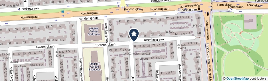 Kaartweergave Torenberglaan in Eindhoven