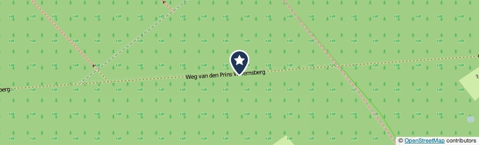 Kaartweergave Weg Van Den Prins Willemsberg in Ellecom