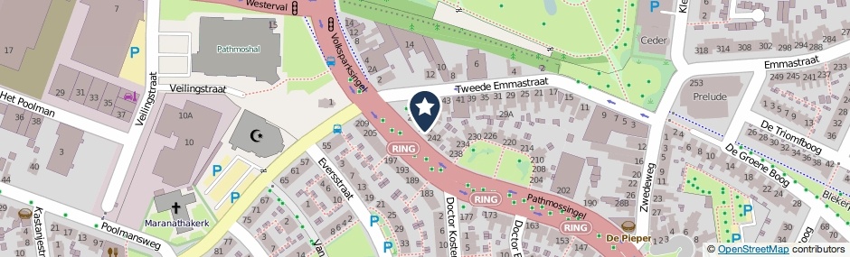 Kaartweergave Pathmossingel 246 in Enschede