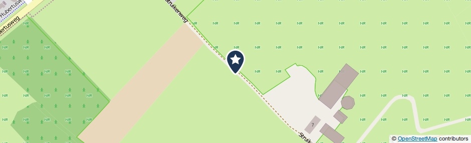 Kaartweergave Struikenweg in Erlecom